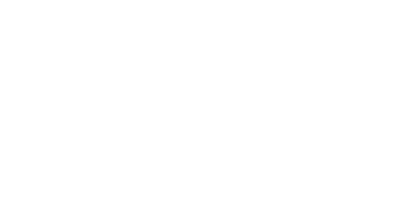 PFS Shipping Company Panamá